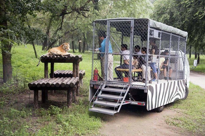Private Transfer to Beijing Wildlife Park with Self-driving Ride Inside - Exploring the Itinerary in Detail