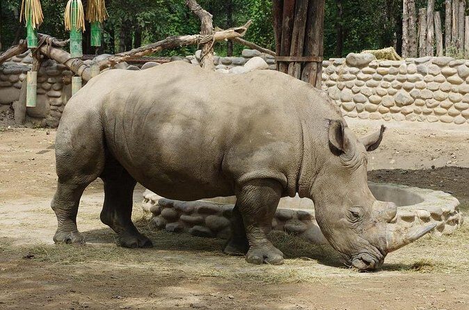 Private Transfer to Beijing Wildlife Park with Self-driving Ride Inside - Final Thoughts: Is This Tour for You?