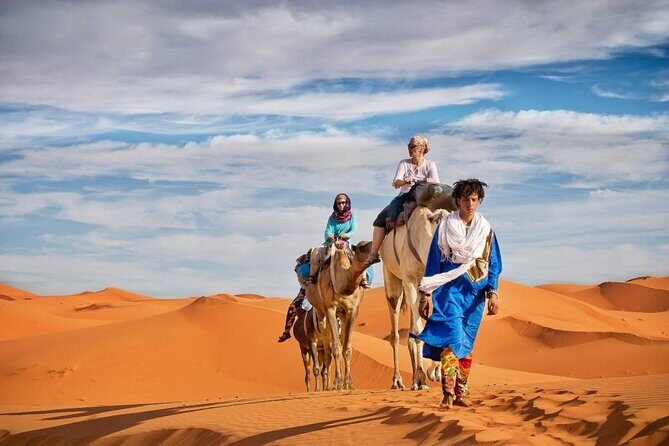 Private Transfer to or from Marrakech Menara Airport - Who Is This Transfer Best For?