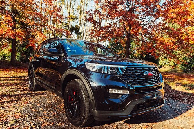 private-transfer-to-reims-or-epernay-one-way-or-8-hours-tour