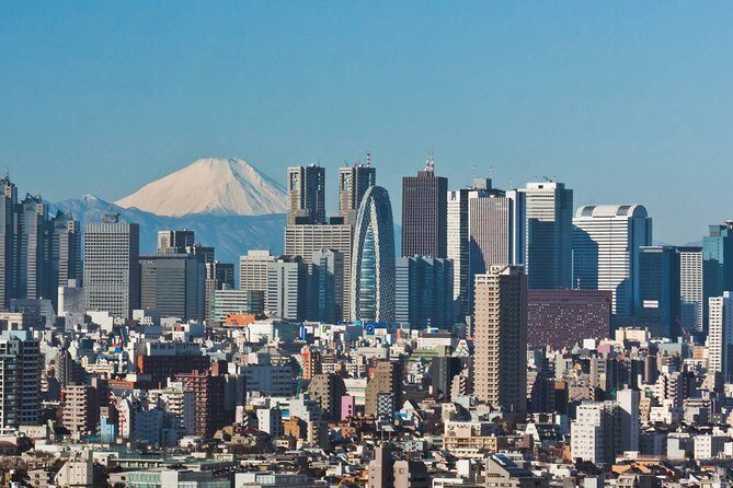 Private Transfer: Tokyo to Haneda Airport HND in Luxury Van - The Real Insider Insights from Reviews