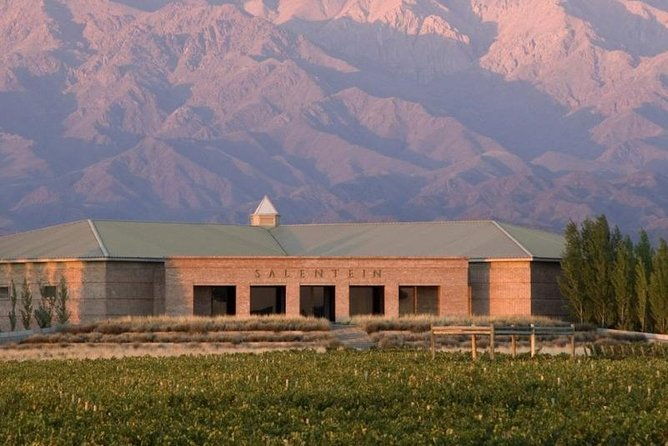 private-transfer-wine-estates-valley-of-uco