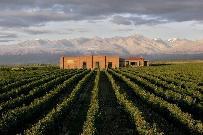 private-transfer-wine-estates-valley-of-uco
