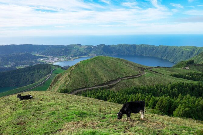 private-transfer-with-sightseeing-furnas-or-sete-cidades