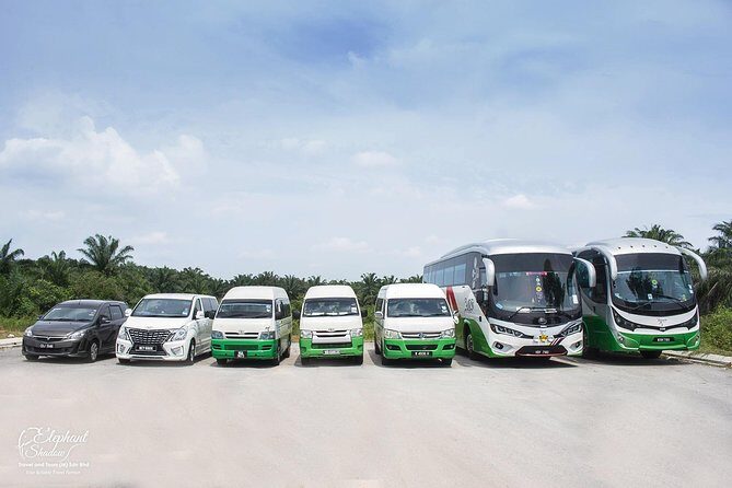 Private transfers from Kuala Lumpur International Airport to your Hotel - Detailed Review of the Private Airport Transfer