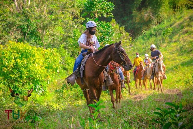 private-transfers-from-punta-cana-airport-to-punta-cana-hotels