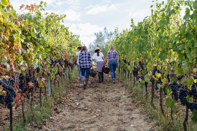private-transfers-to-lujan-and-maipu-wineries