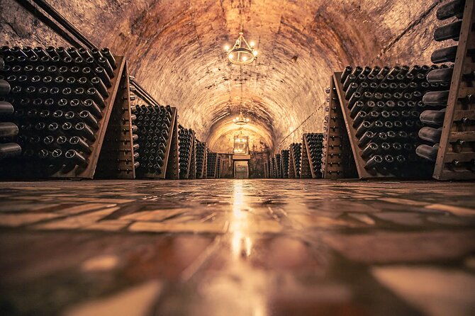 private-transfers-to-lujan-and-maipu-wineries