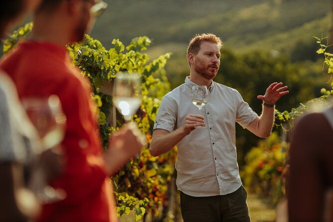 private-transfers-to-lujan-and-maipu-wineries