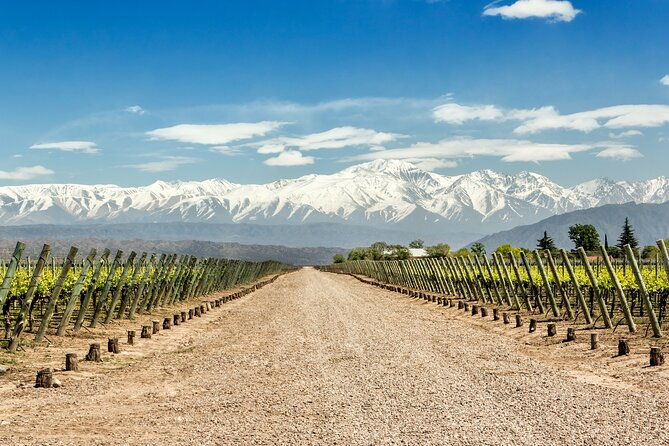 private-transfers-to-lujan-and-maipu-wineries