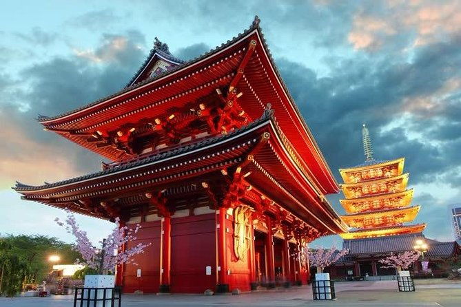 private-transport-1-day-tokyo-tour