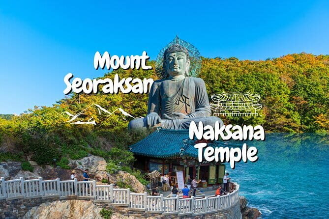 Private transport for 1 day Seoul tour - The Sum Up