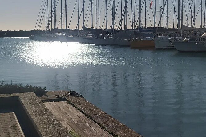 private-transport-from-civitavecchia-port-to-rome-or-vice-versa