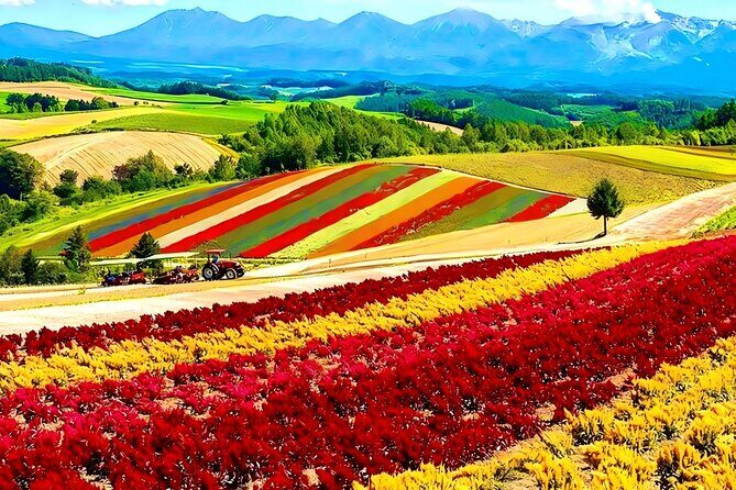 Private Transport in Hokkaido with English Speaking Driver - Why Choose a Private Driver in Hokkaido?