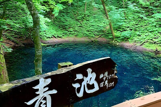 Private Transport in Hokkaido with English Speaking Driver - Practical Tips for Your Hokkaido Private Tour