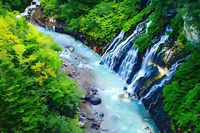 Private Transport in Hokkaido with English Speaking Driver - Who Should Consider This Tour?