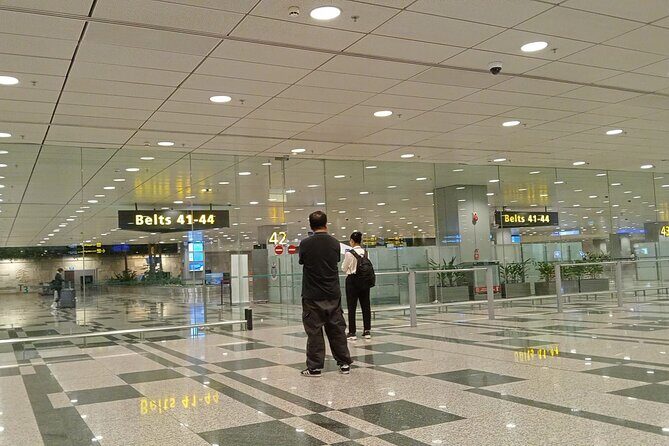 Private Transport in Singapore - Who Would Benefit Most from This Service?