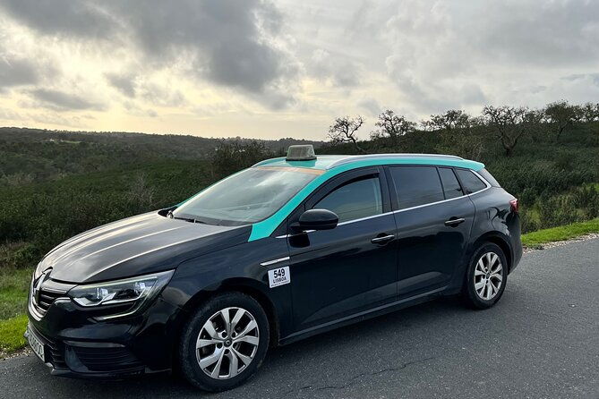 private-transport-lisbon-porto-2-stops-nazare-obidos-aveiro