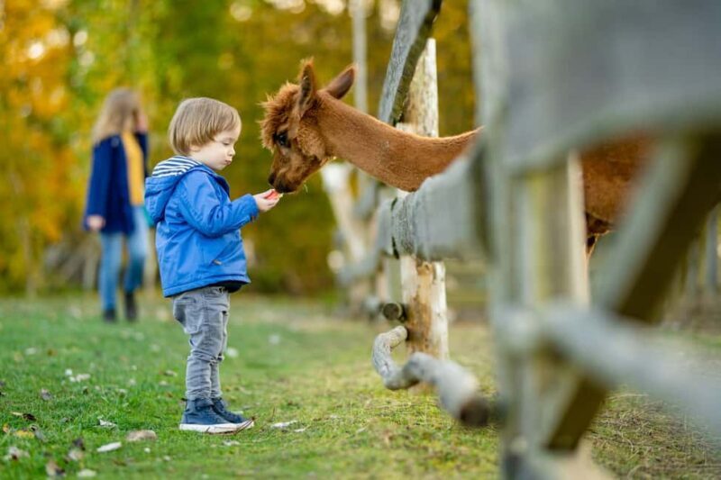 Private Transport to Berlin Zoo with Skip-the-line Ticket - Analyzing the Cost & Value
