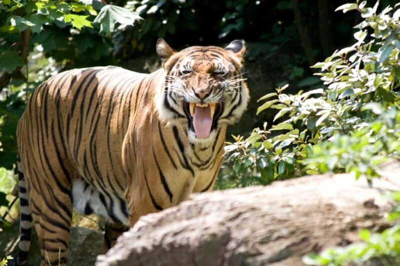 Private Transport to Berlin Zoo with Skip-the-line Ticket - Who Would Enjoy This Tour?