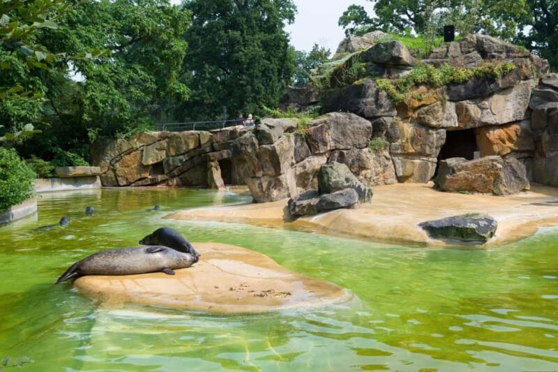 Private Transport to Berlin Zoo with Skip-the-line Ticket - FAQ