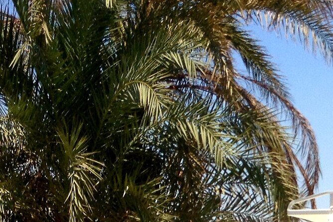 Private Transport to Hurghada from Luxor - The Sum Up