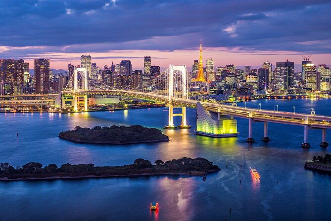 private-transport-tokyo-city-night-view-tour