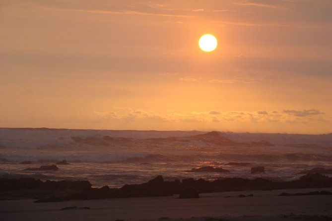 private-transportation-from-sjo-airport-to-nosara-guanacaste