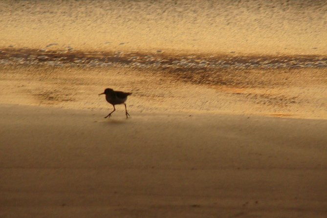 private-transportation-from-sjo-airport-to-nosara-guanacaste