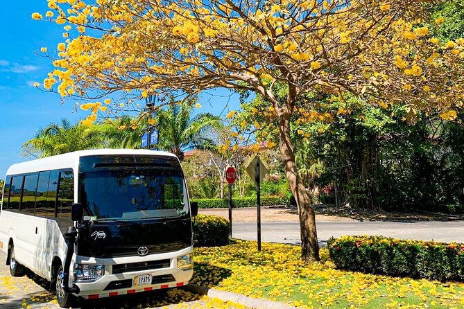 private-transportation-jaco-to-san-jose-or-vice-versa