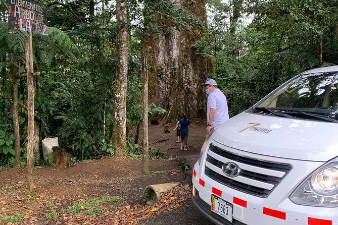 private-transportation-la-fortuna-tamarindo-and-surroundings