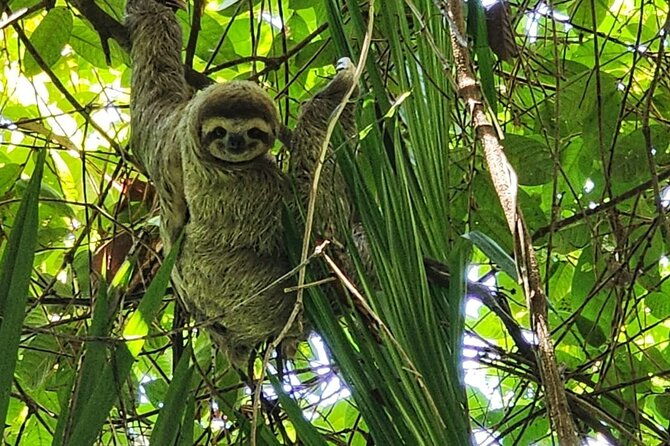 private-transportation-san-jose-to-from-manuel-antonio-quepos