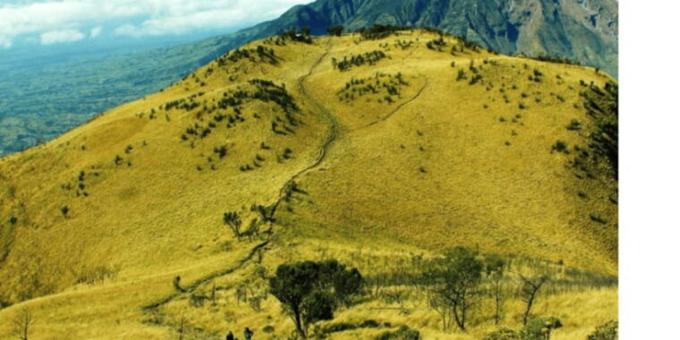 private-trekking-rinjani-mountain-3-days-2-nights