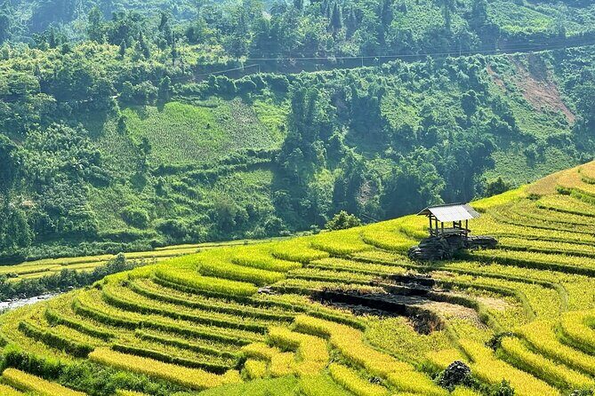 Private Trekking through Terraces Rice Fields in Sapa - Final Thoughts