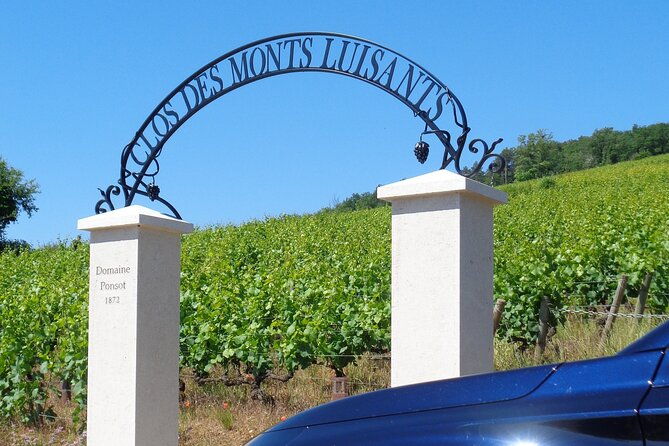 private-trip-and-wine-tasting-in-burgundy