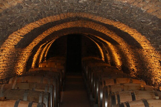 private-trip-and-wine-tasting-in-burgundy