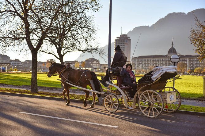 private-trip-from-geneva-to-interlaken