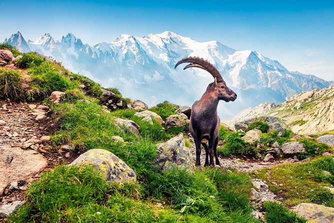 private-trip-from-geneva-to-swiss-riviera-montreux-chamonix