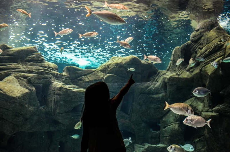 Private Trip From Rethymno to Dinosauria Park & Cretaquarium - The Logistics: Comfort and Convenience