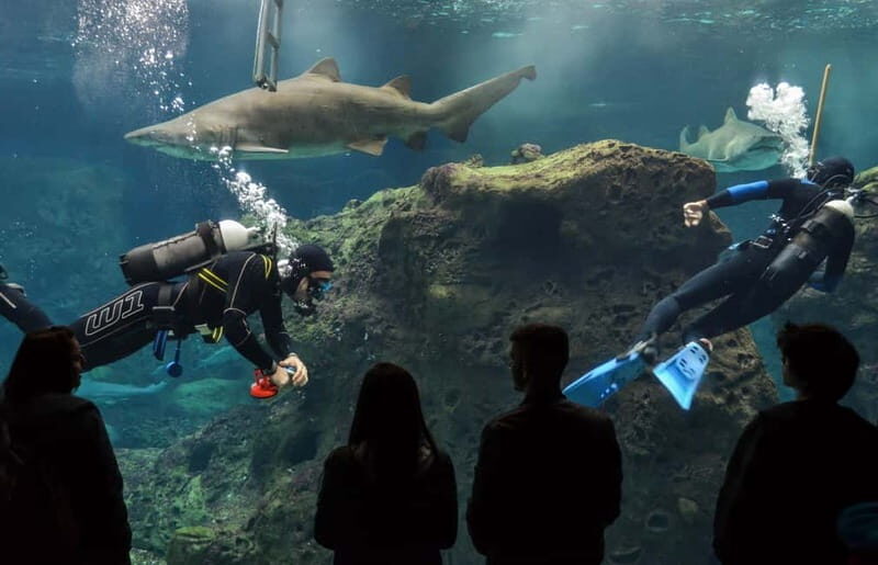 Private Trip From Rethymno to Dinosauria Park & Cretaquarium - FAQ
