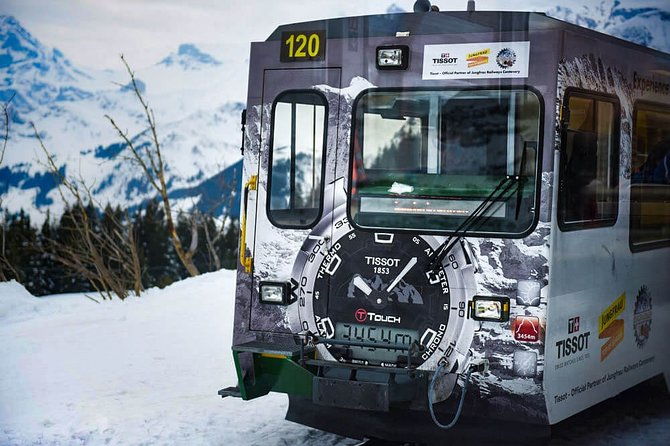 private-trip-from-zurich-to-jungfraujoch-the-top-of-europe
