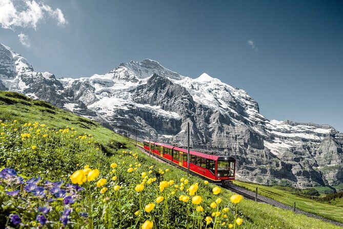 private-trip-from-zurich-to-jungfraujoch-the-top-of-europe
