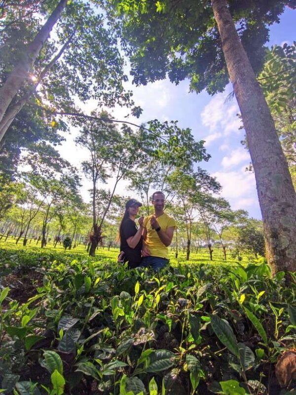 private-trip-malang-surabaya-tour-tea-plantation-wonosari