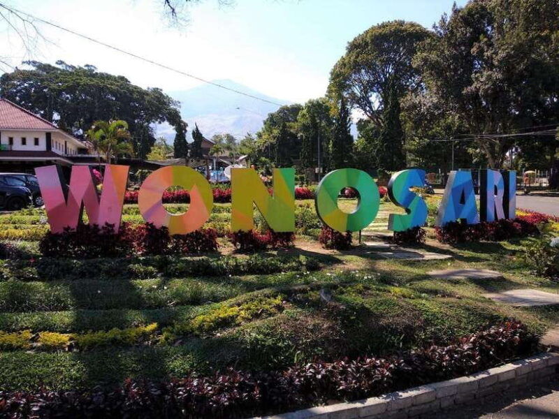 private-trip-malang-surabaya-tour-tea-plantation-wonosari