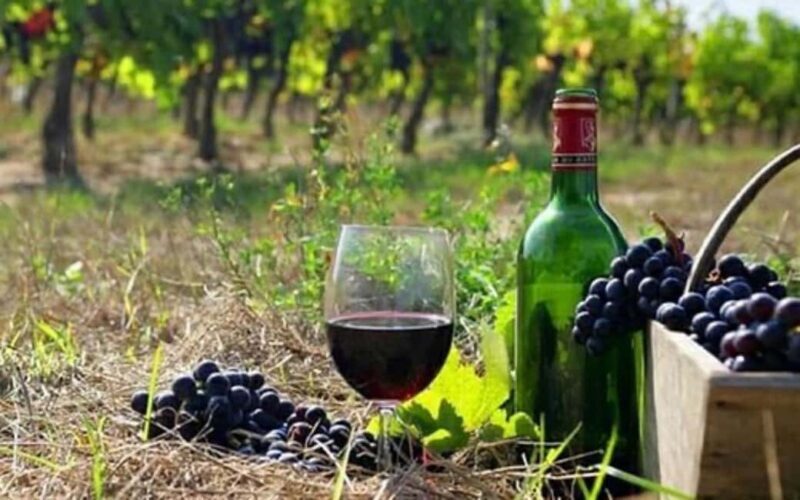 Private Trip: Tatev Ropeway-Shaki Waterfall-Wine Degustation - Key Points