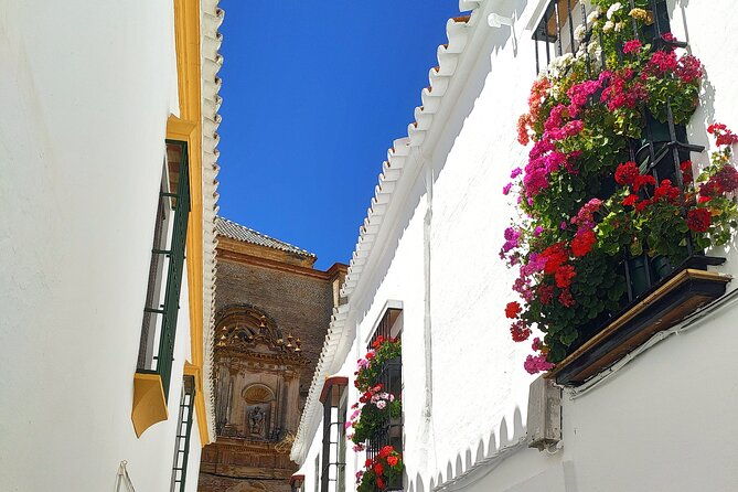 private-trip-to-carmona-from-seville-5000-years-of-history