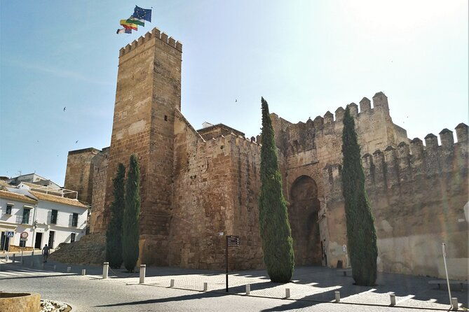 private-trip-to-carmona-from-seville-5000-years-of-history