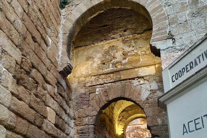 private-trip-to-carmona-from-seville-5000-years-of-history