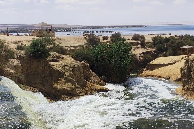 Private Trip to Fayum and Valley of the Whales with Sand Skate - Key Points
