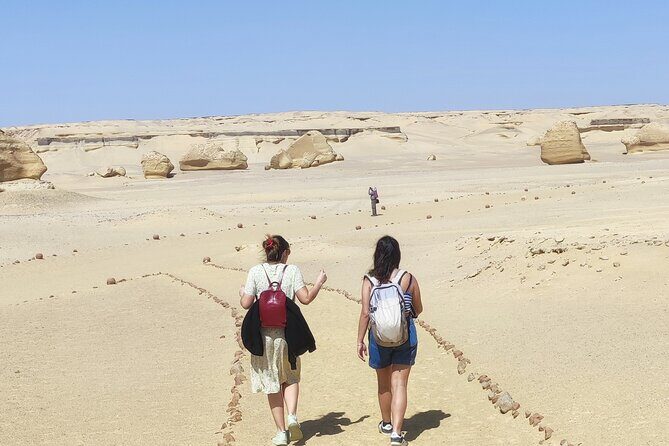 Private Trip to Fayum and Valley of the Whales with Sand Skate - Detailed Review of the Fayum and Valley of the Whales Tour